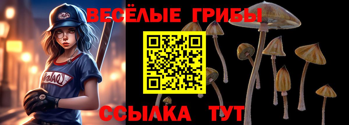 Гусиноозёрск  Галлюциногенные грибы MAGIC MUSHROOMS  Галлюциногенные грибы мухоморы  Вход с VPN 